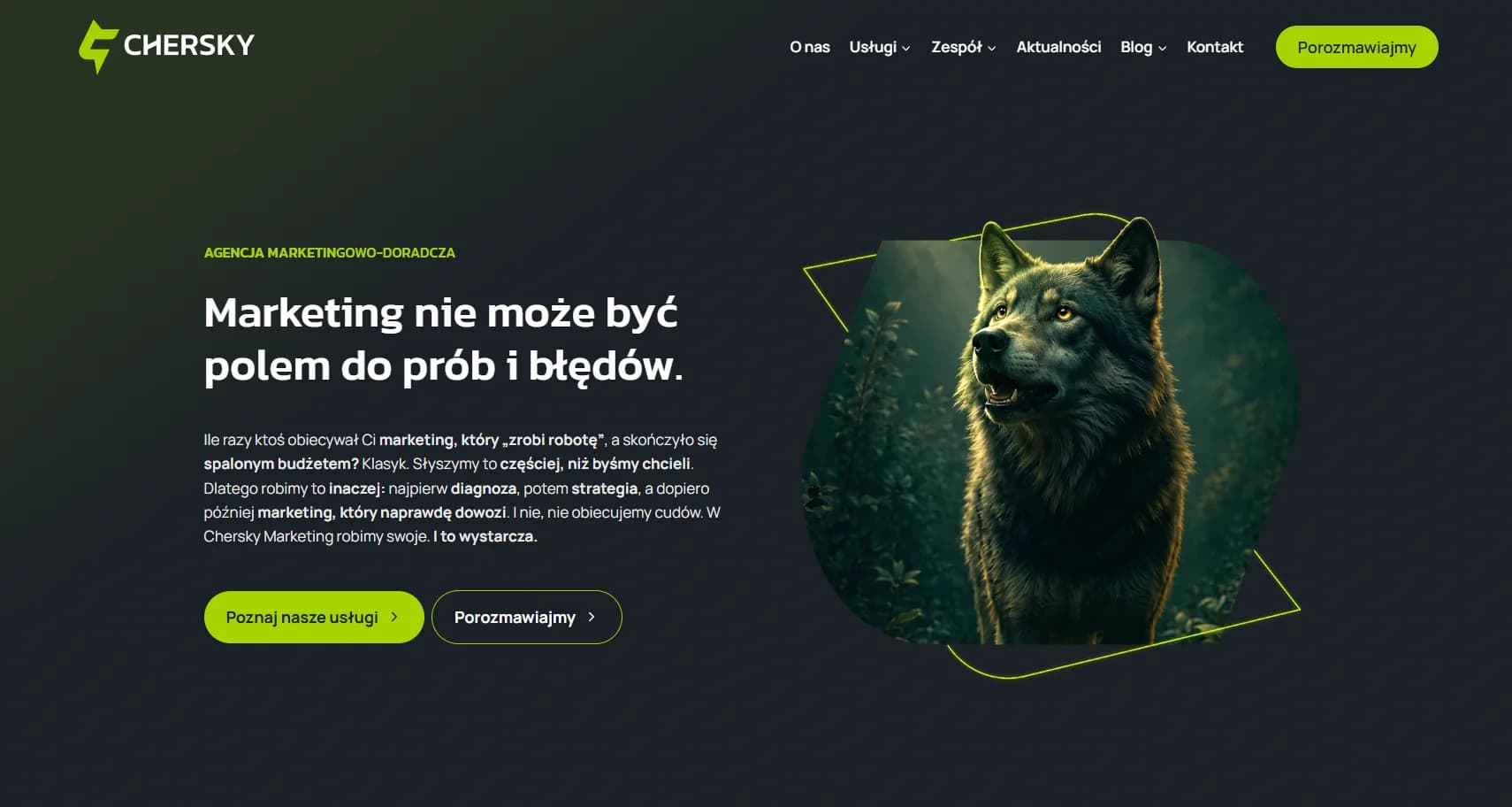 Zrzut ekranu strony Chersky Marketing
